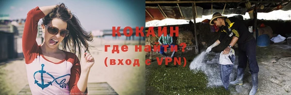 гидра Горнозаводск