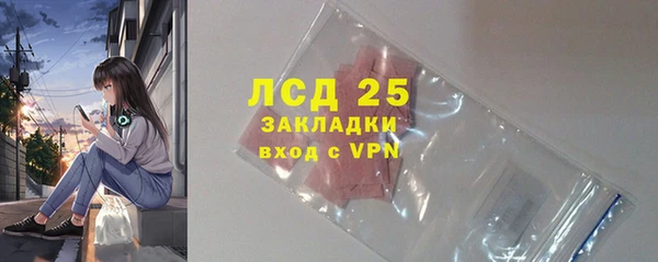 гидра Горнозаводск