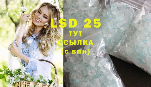 гидра Горнозаводск