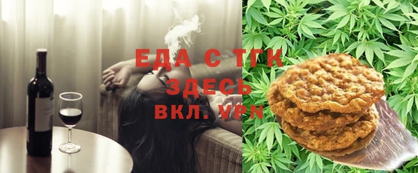 гидра Горнозаводск