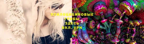 первитин Горняк