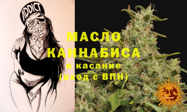 гидра Горнозаводск