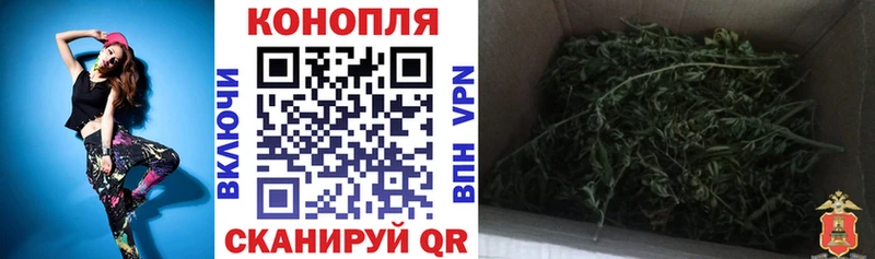 МАРИХУАНА AK-47  mega как зайти  Боготол  дарнет шоп 